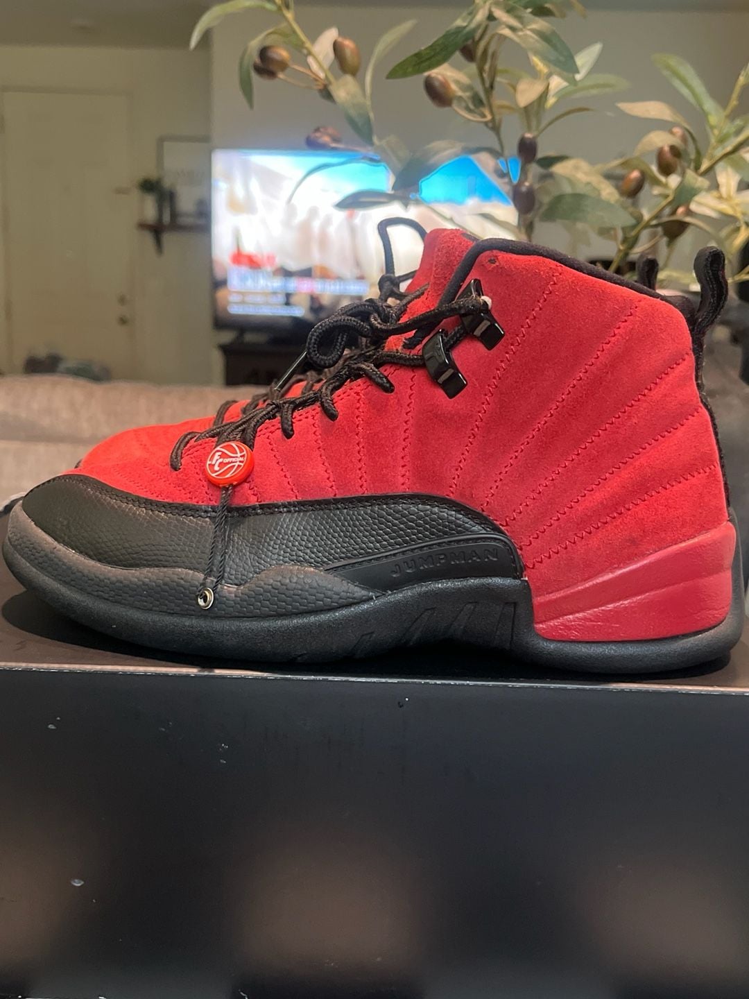 Air Jordan 12 Retro Reverse Flu Game Size 8